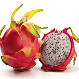 Hylocereus Undatus - Pitaya - frutto del drago