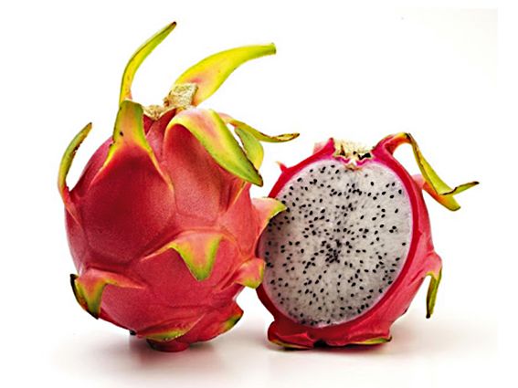 Hylocereus Undatus - Pitaya - frutto del drago