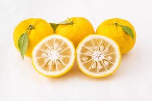 Yuzu "Citrus junos"