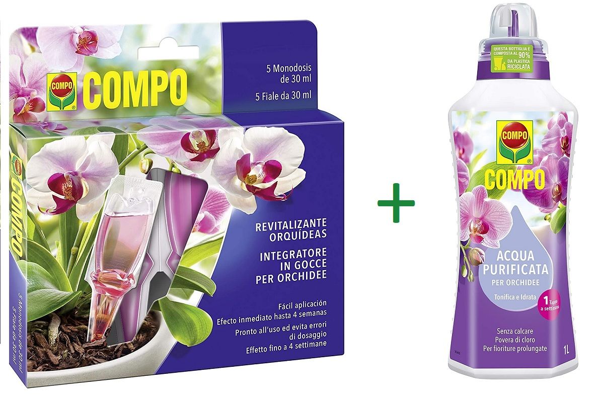 Orchidee-cymbidium kit nutrimento