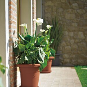 Sottovaso Krea a muro