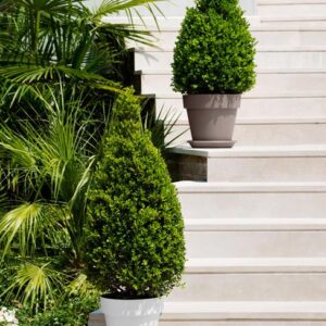 Vaso Mitu Pac rotondo