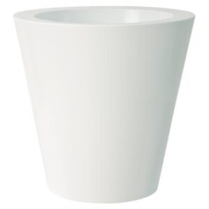 Vaso Kuno Gloss