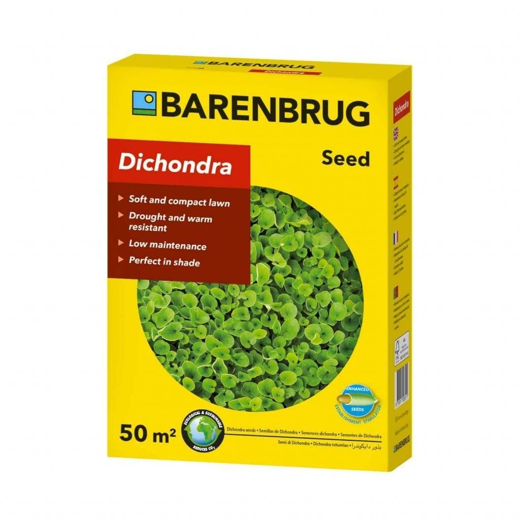 Dichondra repens - soffice e compatto