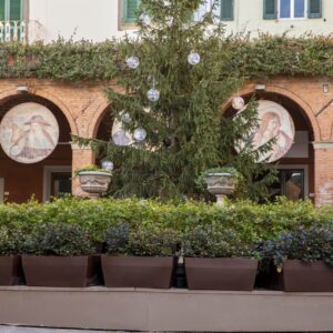 Acquario Cassetta rettangolare