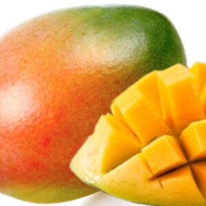 Mango - Mangifera indica