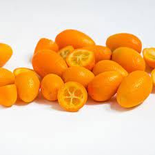 Kumquat - "Fortunella Margarita" (Citrus japonica)