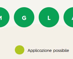 Sanium PFnPO - insetticida sistemico