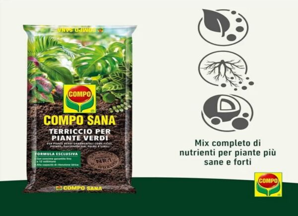 COMPO SANA Terriccio piante verdi
