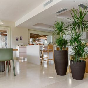 Vaso alto "tronco conico rigato"