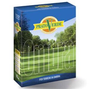 Seme da  ombra - Seme per zone ombreggiate