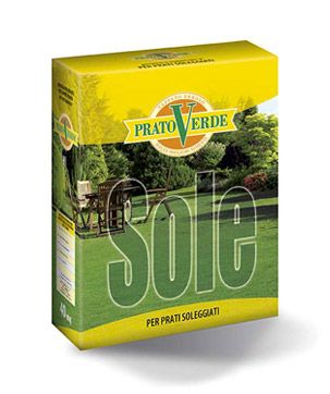 Seme Prato Verde sole