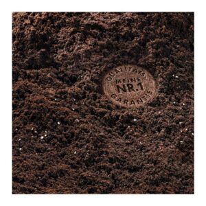 Terriccio per Bonsai con concime