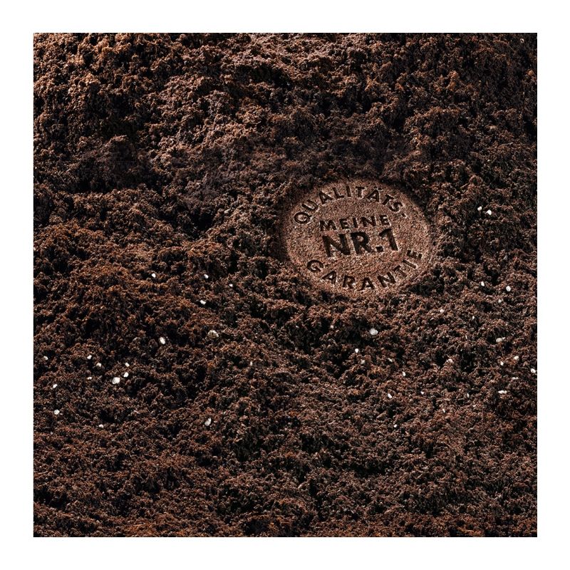 Terriccio per Bonsai con concime