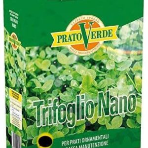 Prato Verde TRIFOGLIO NANO