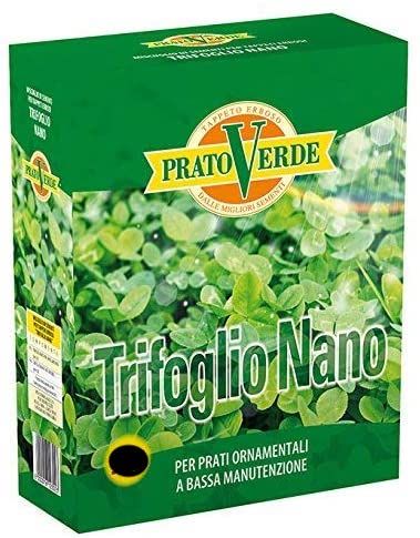 Prato Verde TRIFOGLIO NANO