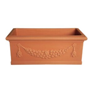 Idra Fioriera festonata