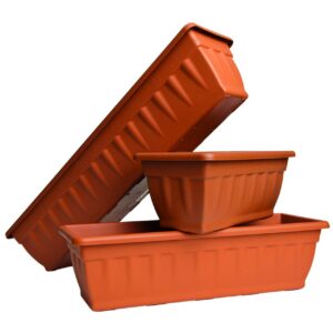 Cassiopea Balconetta