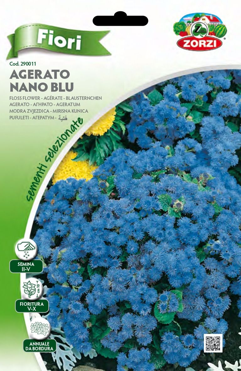 Agerato Nano Blu