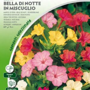 Bella Di Notte Mix