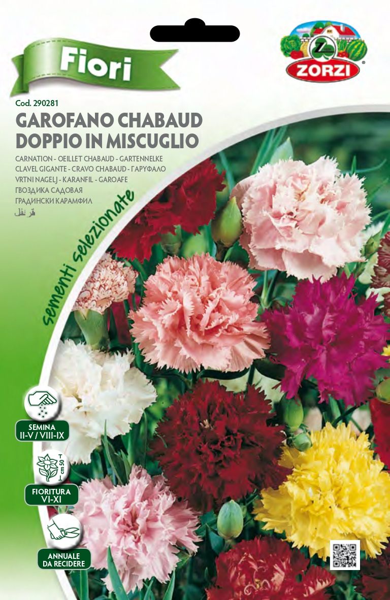 Garofano Chabaud Doppio Mix