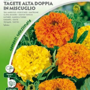 Tagete Alta Doppia Mix