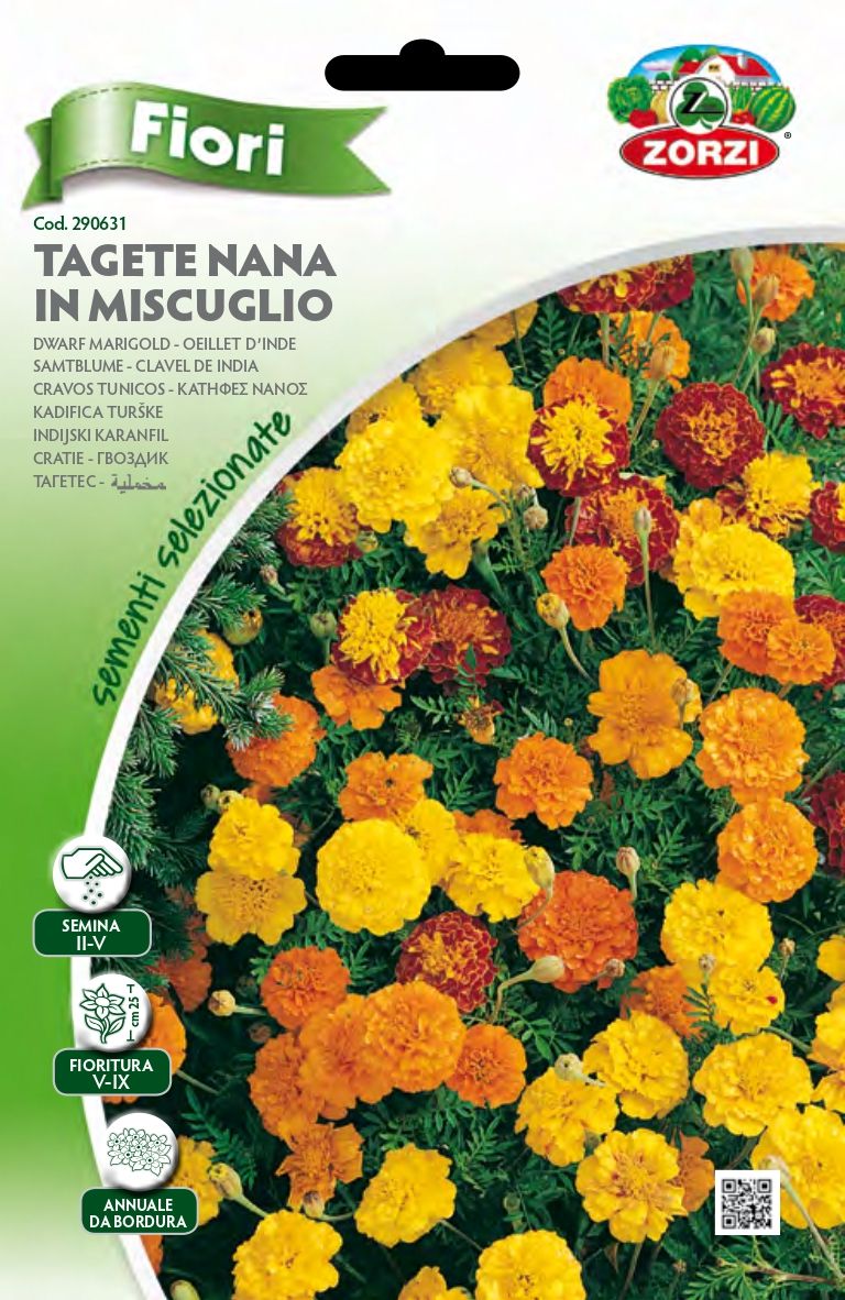 Tagete Nana Mix