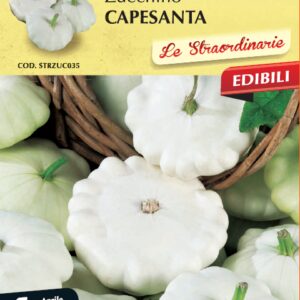 Zucchino Capesanta