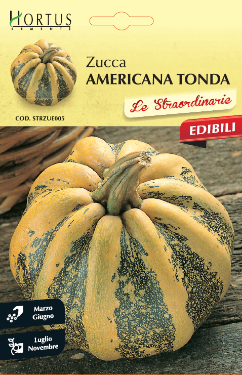 Zucca Americana Tonda