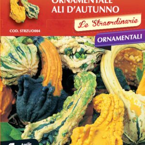 Zucchetta Ornamentale Corona Di Spine