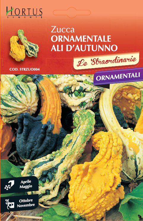 Zucchetta Ornamentale Corona Di Spine