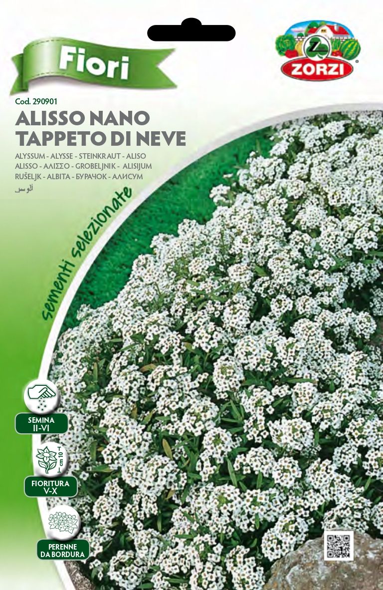 Alisso Nano Tappeto di Neve