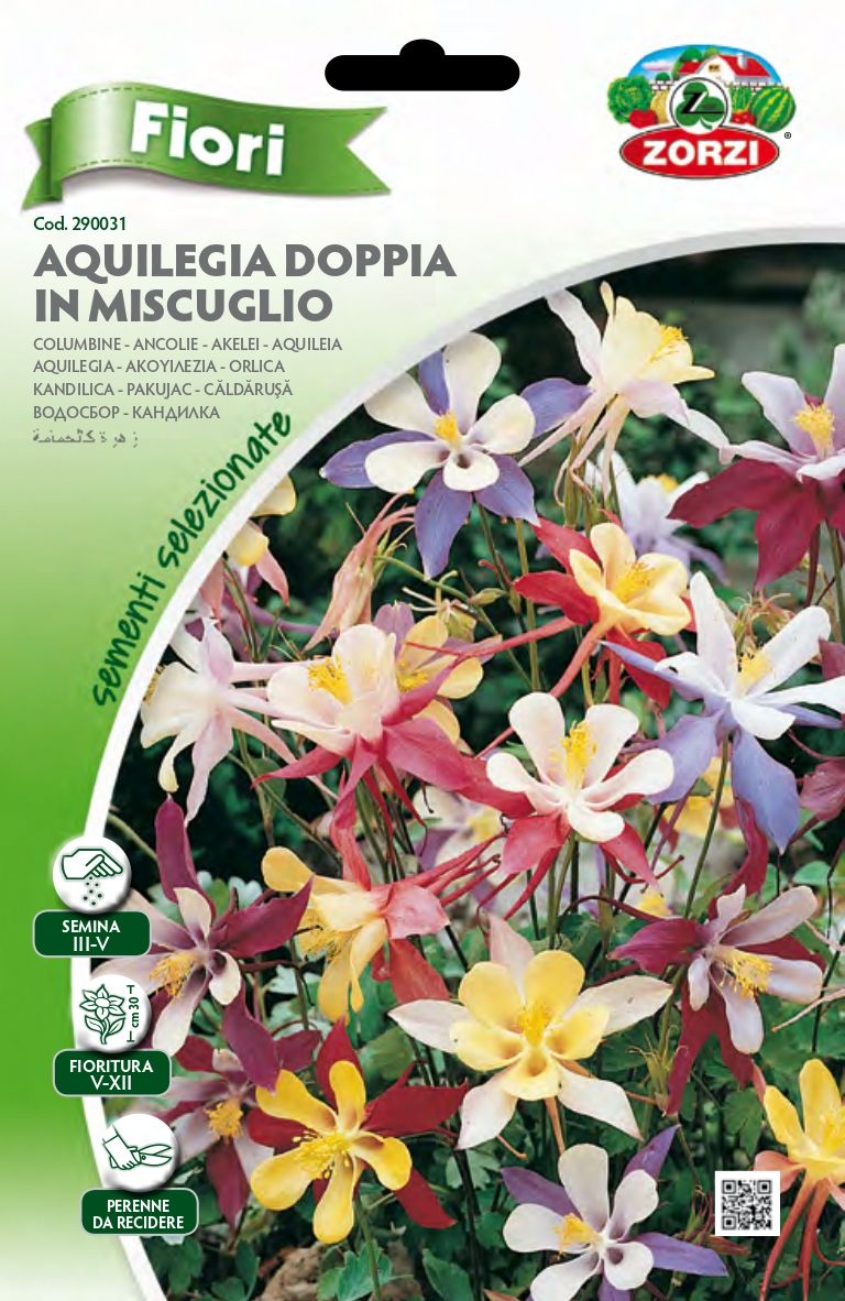 Aquilegia Doppia in mix