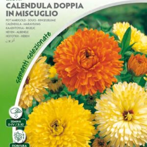 Calendula Doppia in Mix