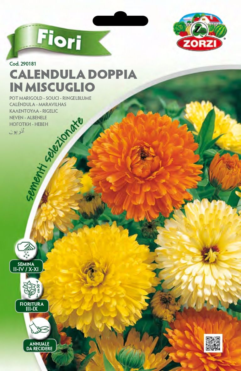 Calendula Doppia in Mix