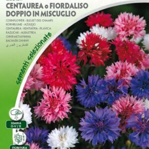 Centaurea o Fiordaliso Doppio in Mix