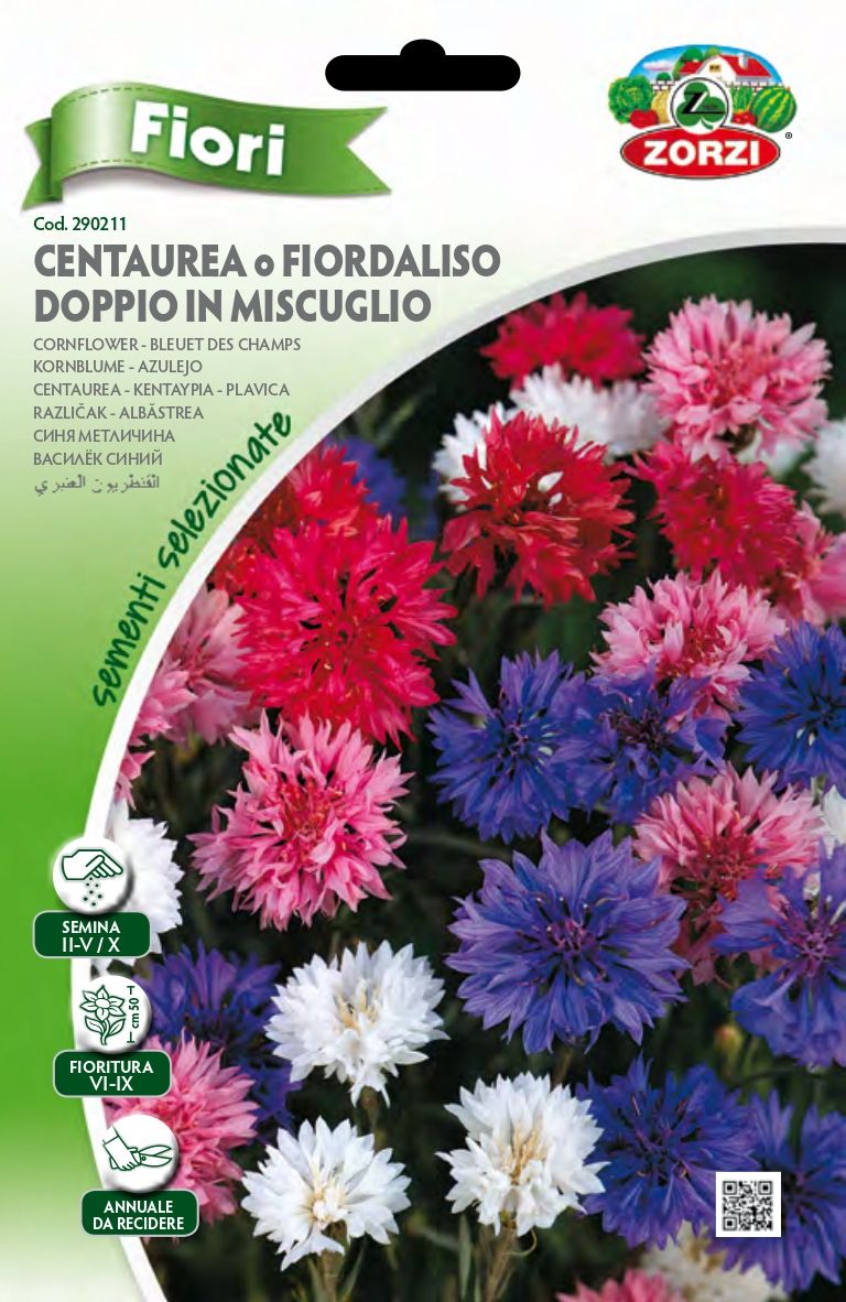 Centaurea o Fiordaliso Doppio in Mix