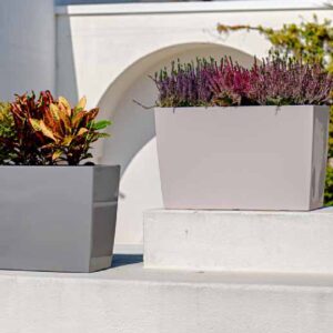 Cassetta alta lucida montreal