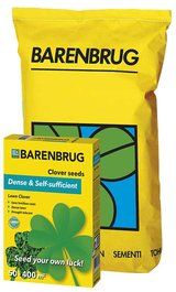 Lawn Clover Trifoglio nanissimo: Semi per Prato ad elevata resistenza alla siccità