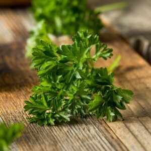 Prezzemolo riccio "Petroselinum hortense"