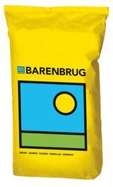 Semi Festuca Arundinacea Firecracker