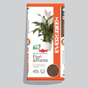 TURCO SILVESTRO Evergreen universale