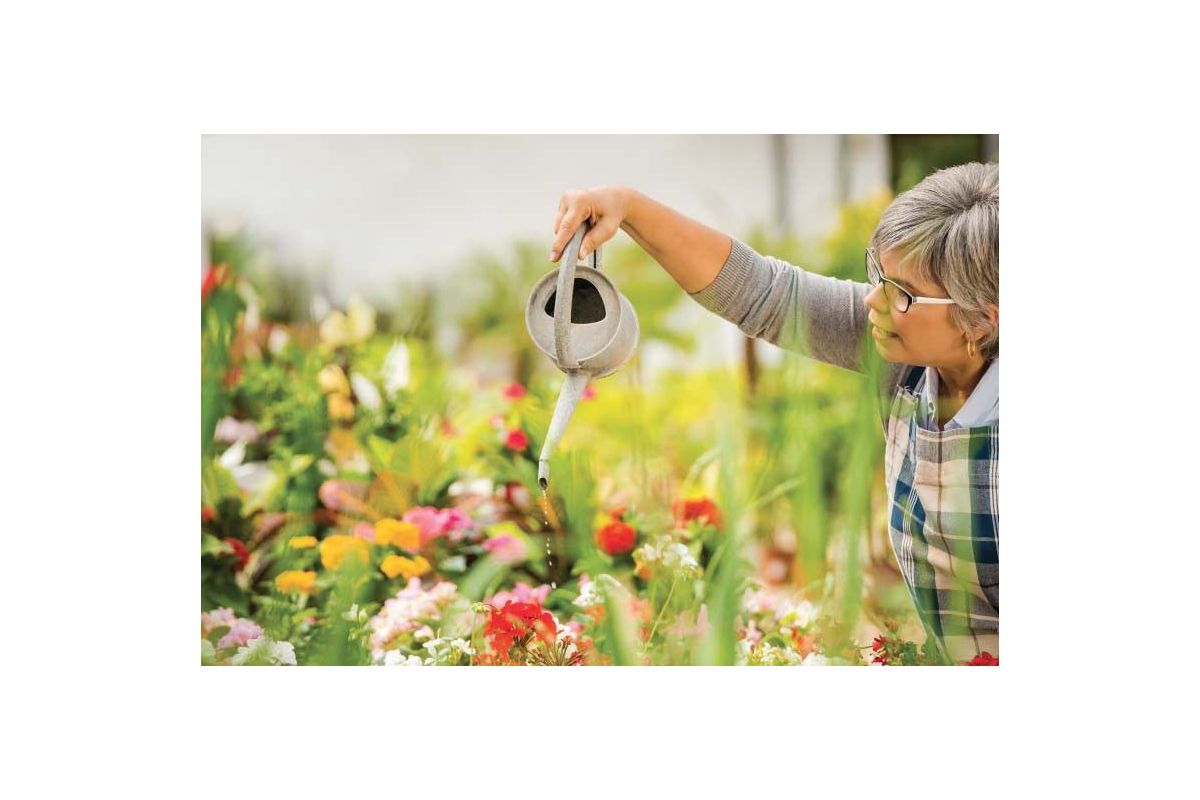 I lavori da fare ad Agosto nel giardino, sul terrazzo e per le piante in appartamento